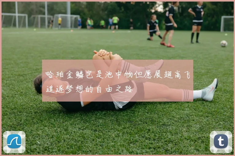 哈珀金鳞岂是池中物但愿展翅高飞追逐梦想的自由之路