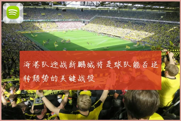 海港队迎战新鹏城将是球队能否逆转颓势的关键战役